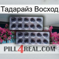 Тадарайз Восход 31